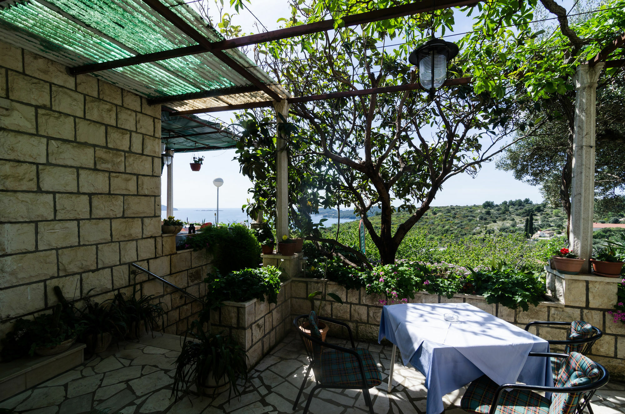 Guesthouse Moretic Orasac Exterior photo